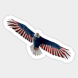 USA Eagle Sticker